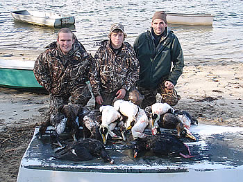 Limited out, eiders and surf scoters